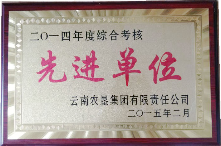 2015先進(jìn)單位.jpg