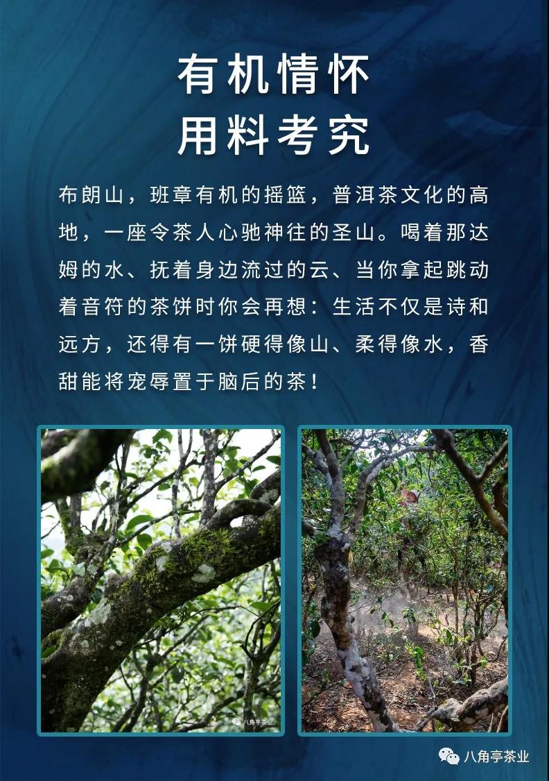 微信圖片_20210618165435.jpg