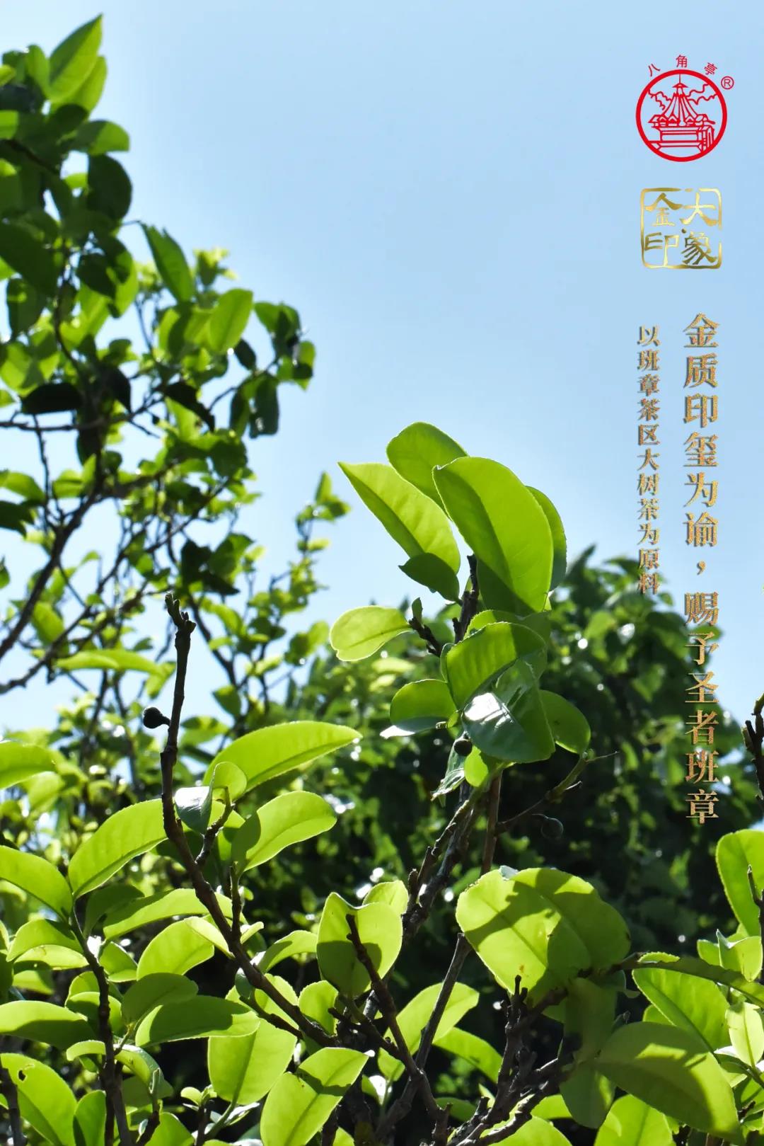 微信圖片_20210906145901.jpg